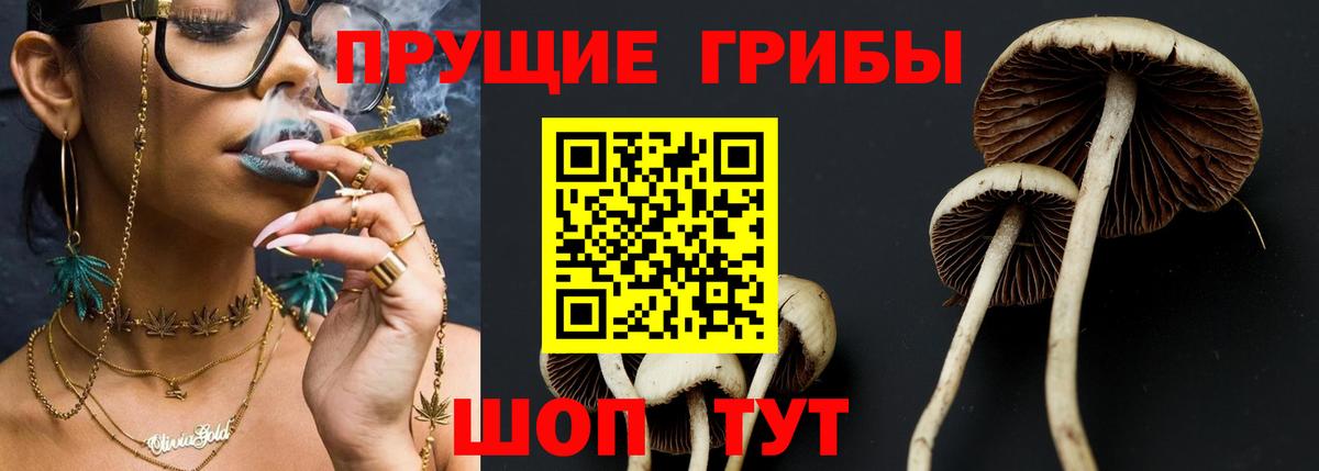 Псилоцибиновые грибы Cubensis  Галлюциногенные грибы Magic Shrooms  Вход с VPN  Благодарный 